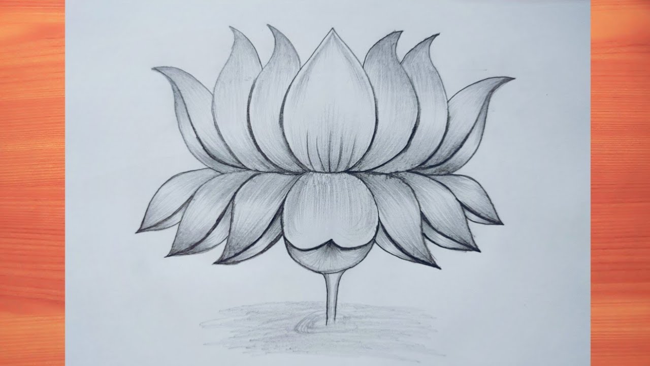 Pencil Art of Ulaganayagan Kamal Haasan Sir #pencilsketch #sketch  #evergreen #drawing #Pencilart #Ka… | Film posters art, Character sketches,  Pencil sketch portrait